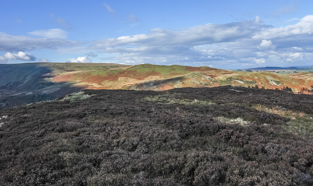 Four Stones Hill